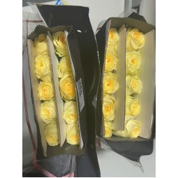 奶油杯玫瑰