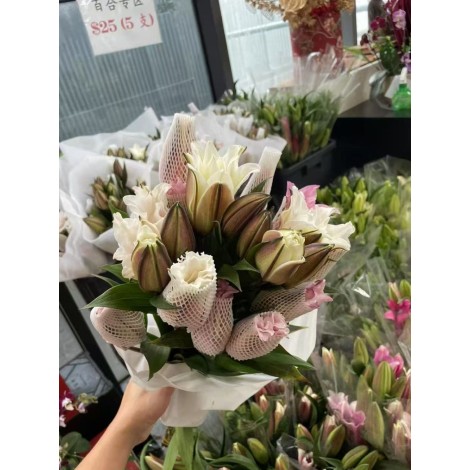 多头重瓣粉百合（一支4-6个头）
