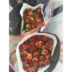 多头巧克力玫瑰