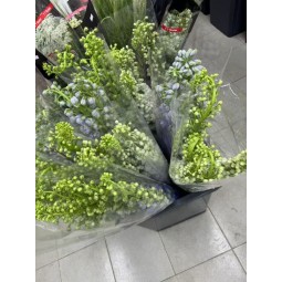 大飞燕
